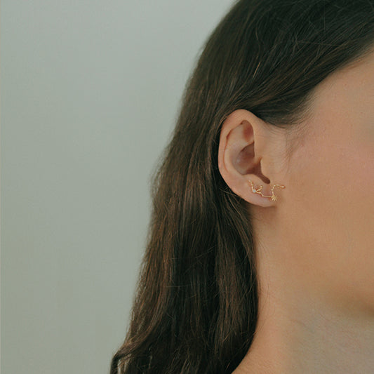 Aquarius Earring