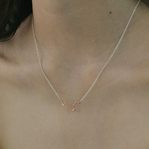 Aquarius Necklace