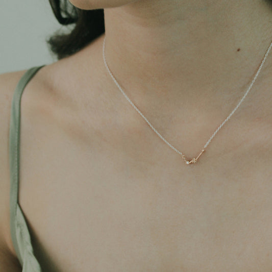 Aries Necklace