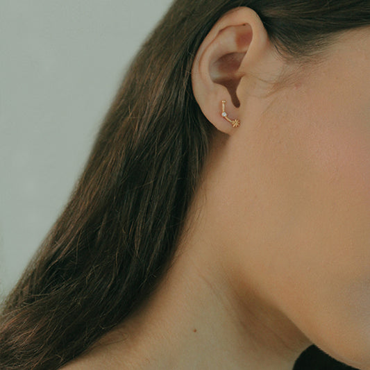 Cancer Earring