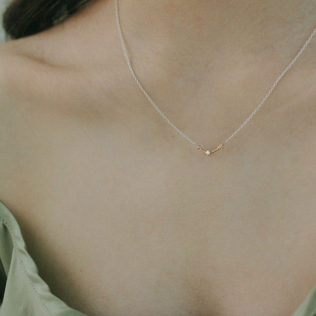 Cancer Necklace
