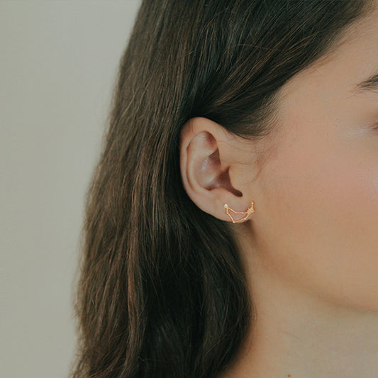 Capricorn Earring