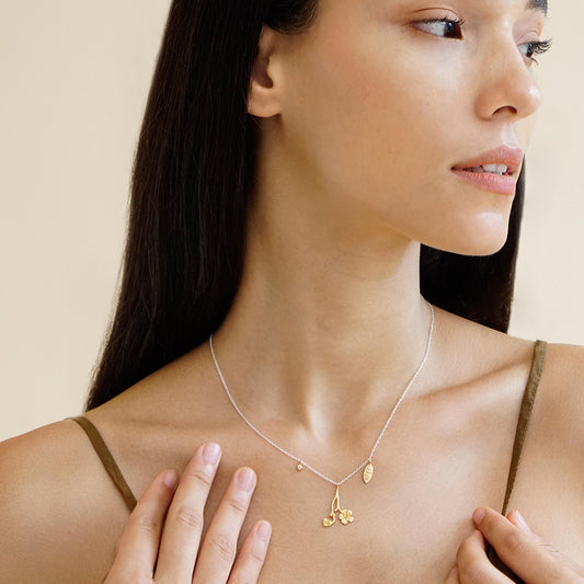 Violet Necklace - February