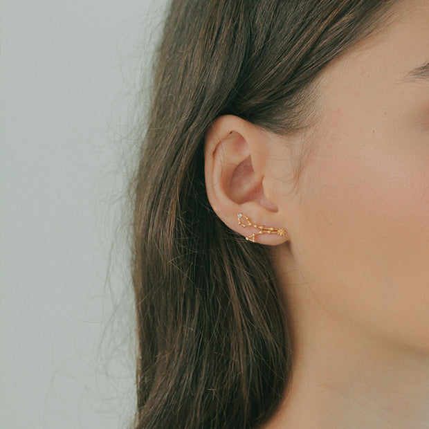 Pisces Earring