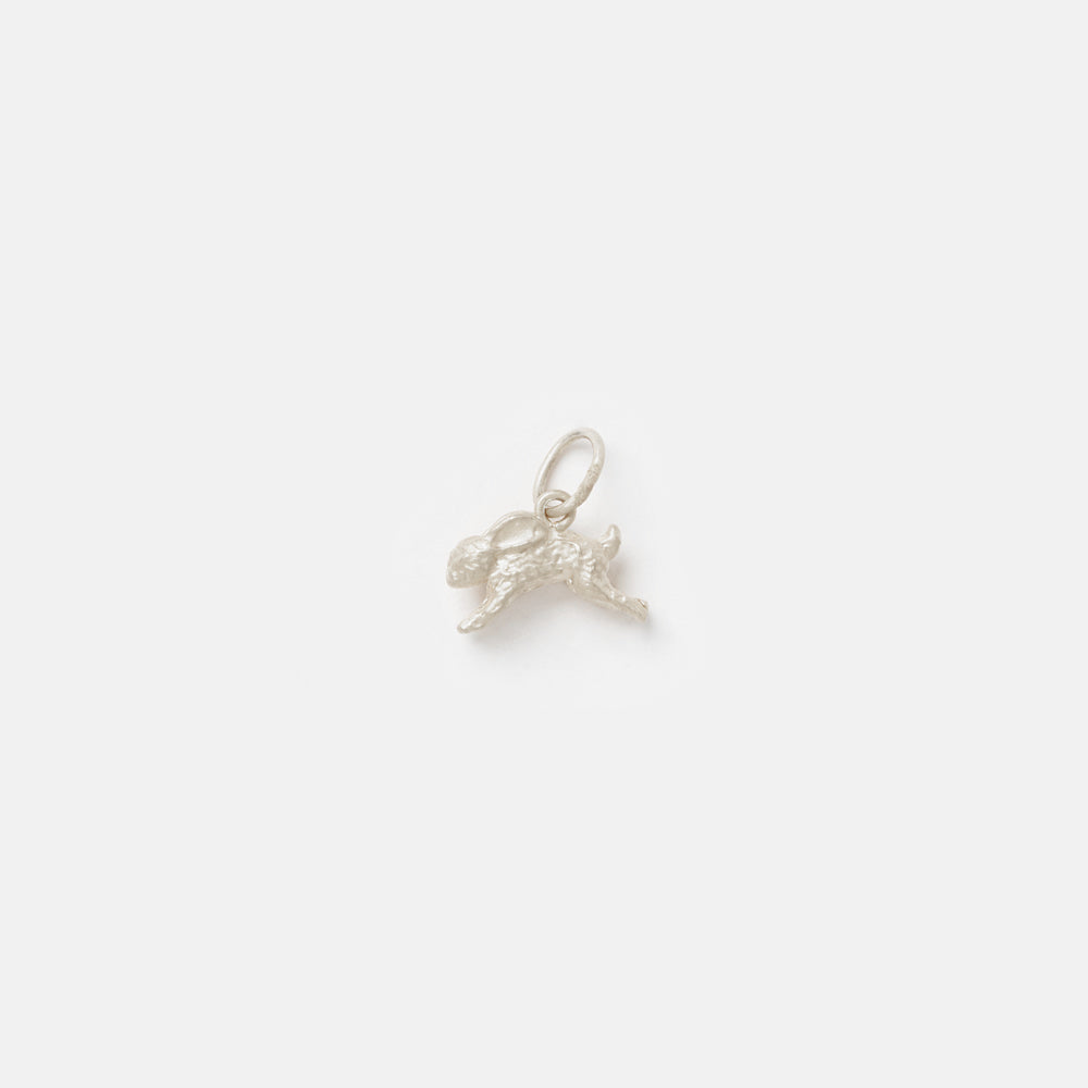 Rabbit Charm