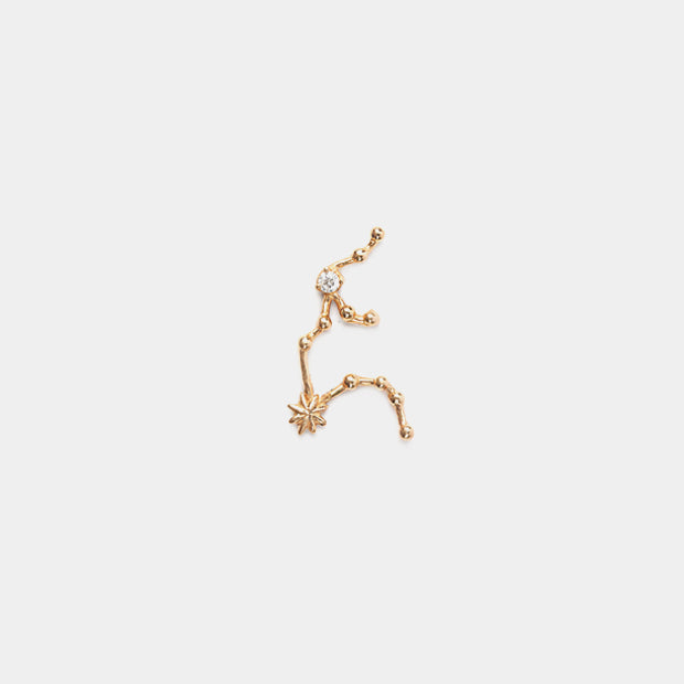 Aquarius Earring