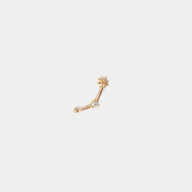 Cancer Earring