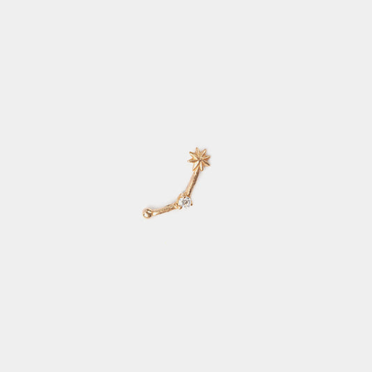 Cancer Earring