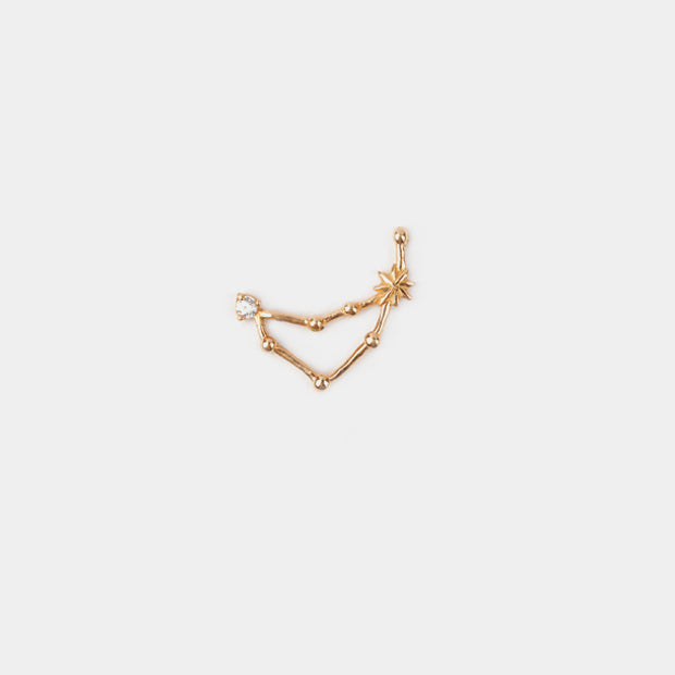 Capricorn Earring
