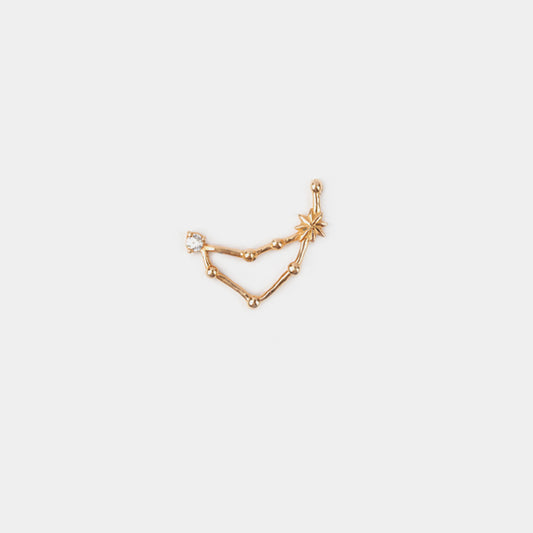 Capricorn Earring