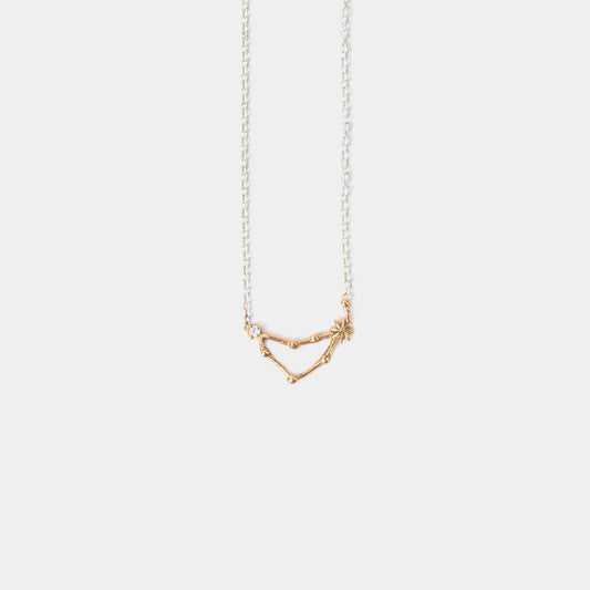 Capricorn Necklace