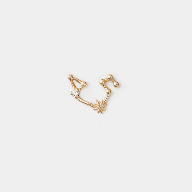 Leo Earring