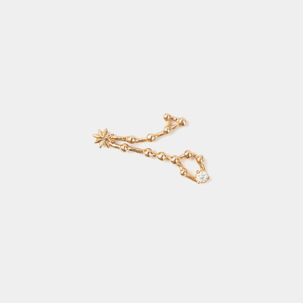 Pisces Earring