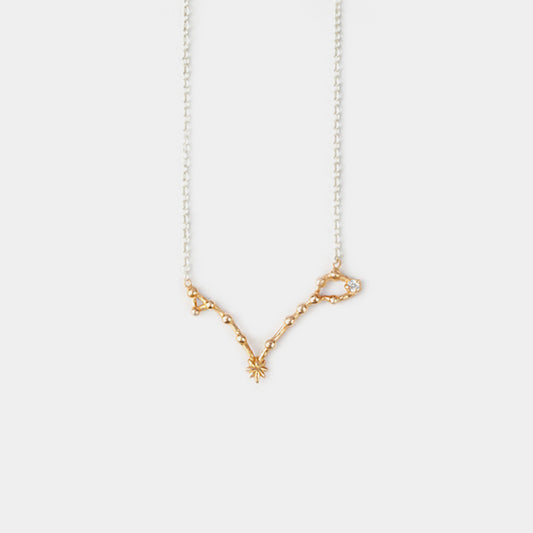 Pisces Necklace