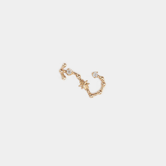 Scorpio Earring