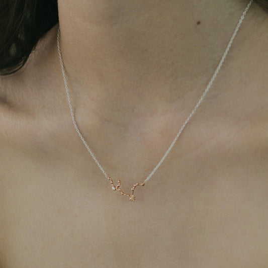 Aquarius Necklace