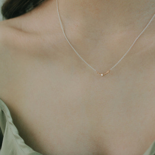 Cancer Necklace