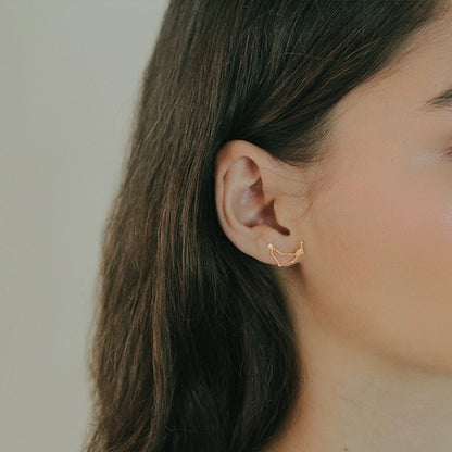 Capricorn Earring