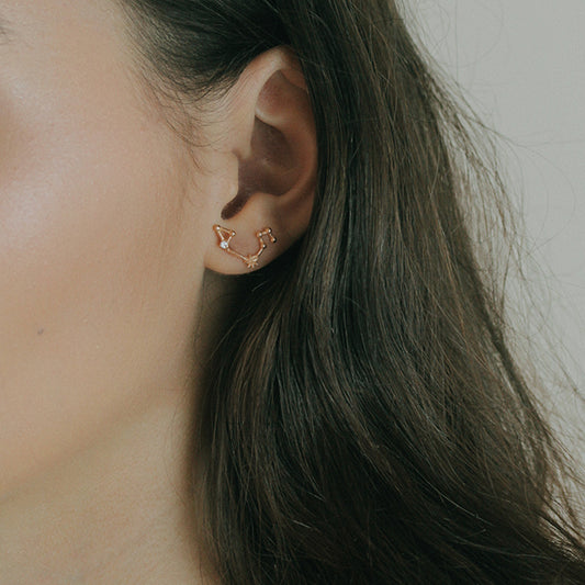 Leo Earring
