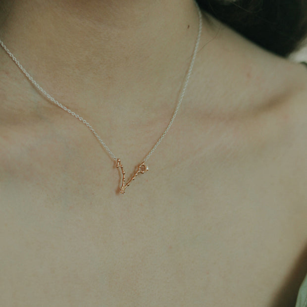 Pisces Necklace