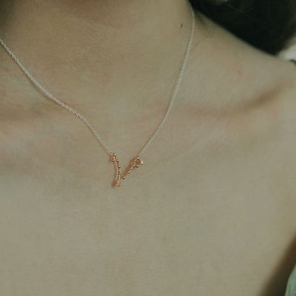 Pisces Necklace
