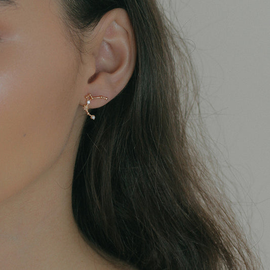 Sagittarius Earring