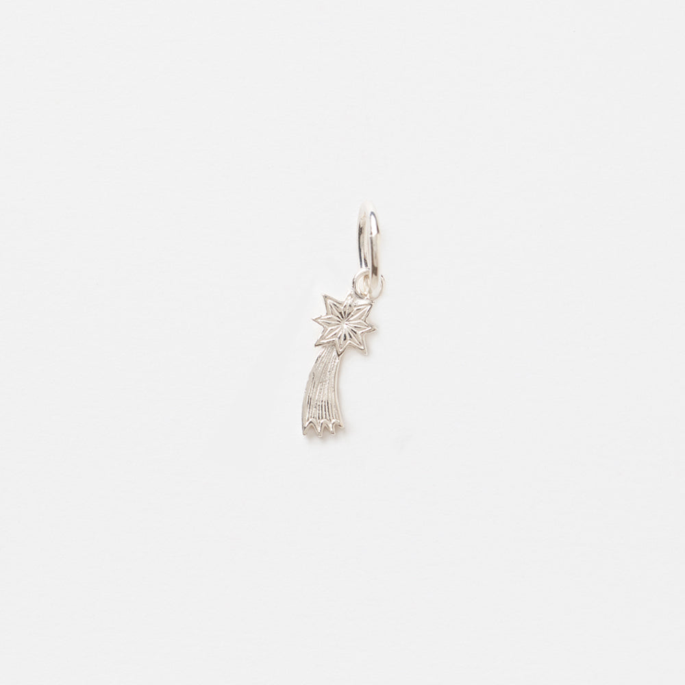 Aster Charm