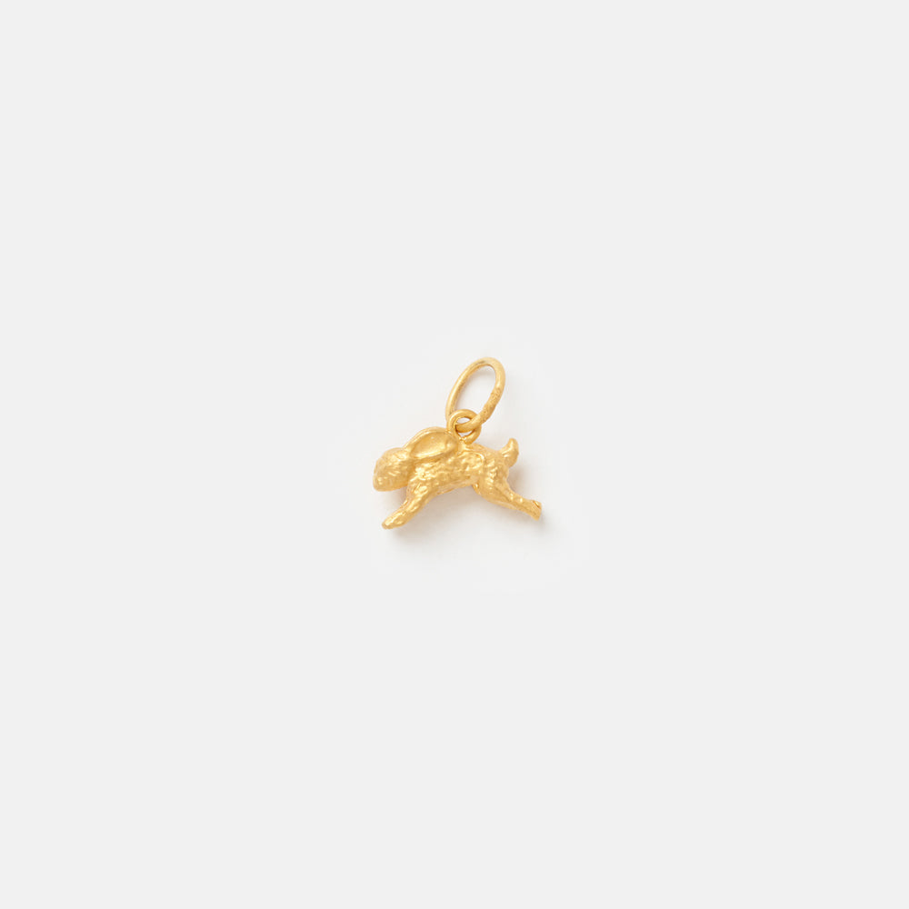 Rabbit Charm