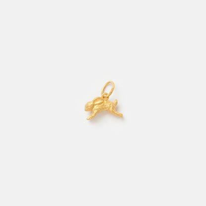 Rabbit Charm