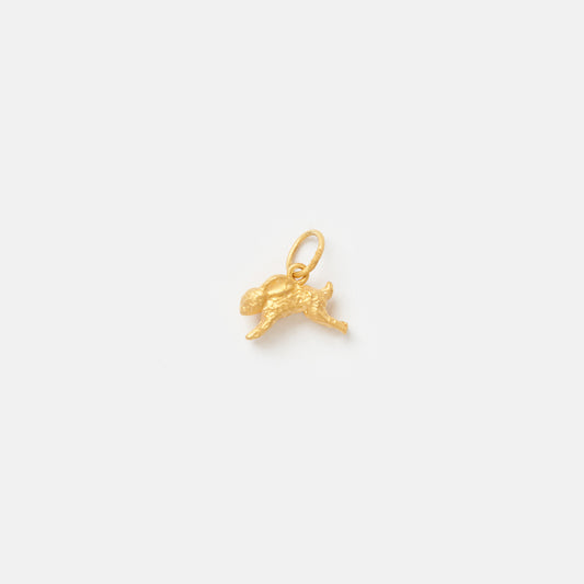 Rabbit Charm