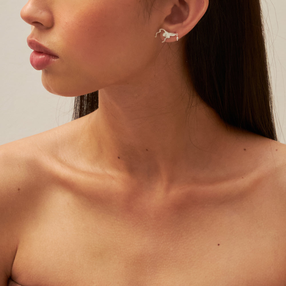 Danse Stud 01