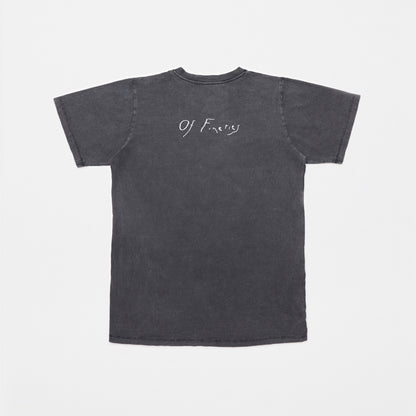 Fairyland shirt - Washed Black