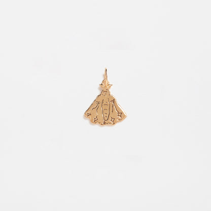 Papillon Charm