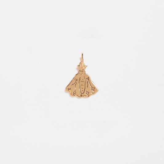 Papillon Charm
