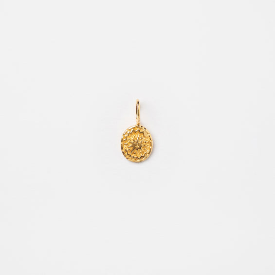 Mini Suni Charm