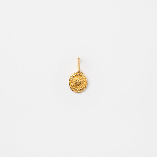 Mini Suni Charm