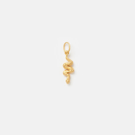 Snake Charm