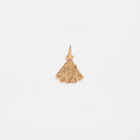 Papillon Charm